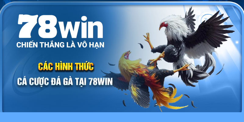 Các hình thức cá cược đá gà tại 78Win